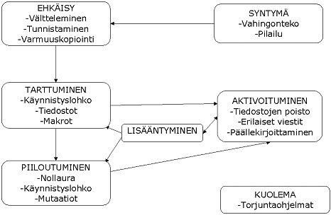 Viruksen elinkaari
