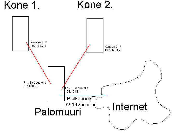Kuva verkon rakenteesta