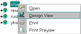 Design View
