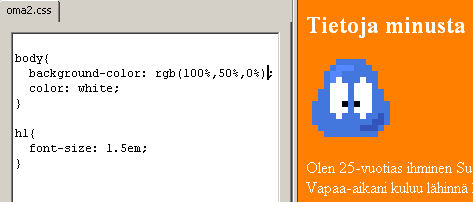 Edit CSS -palkki Web developer -ty�kalurivill�