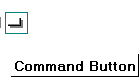 Command Button