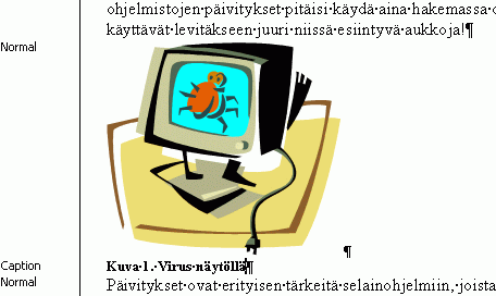 Kuva kuvaotsikon kanssa