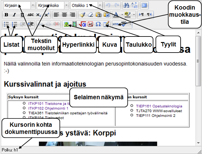 Kirjoittaminen RichText-editorilla