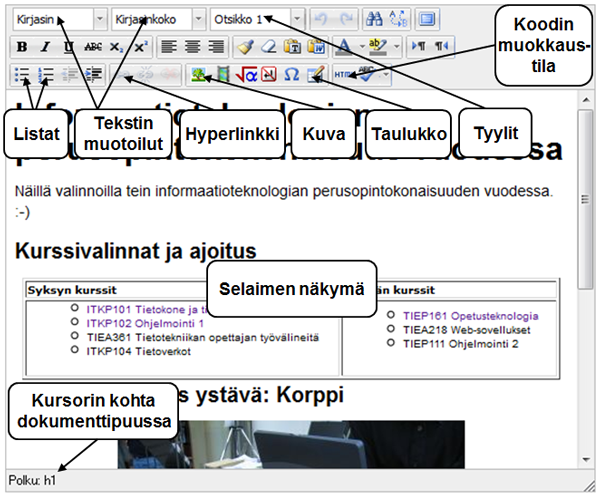 Kirjoittaminen RichText-editorilla