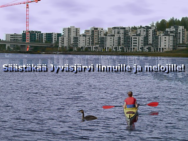 Kuva lopullisessa muodossa pienennettynä ja tarkennettuna