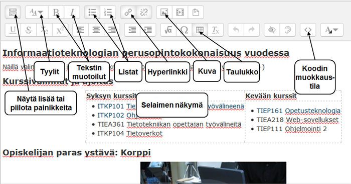 Kirjoittaminen Moodlen tekstieditorilla