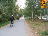 laaja