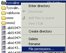 File Permissions -valinta