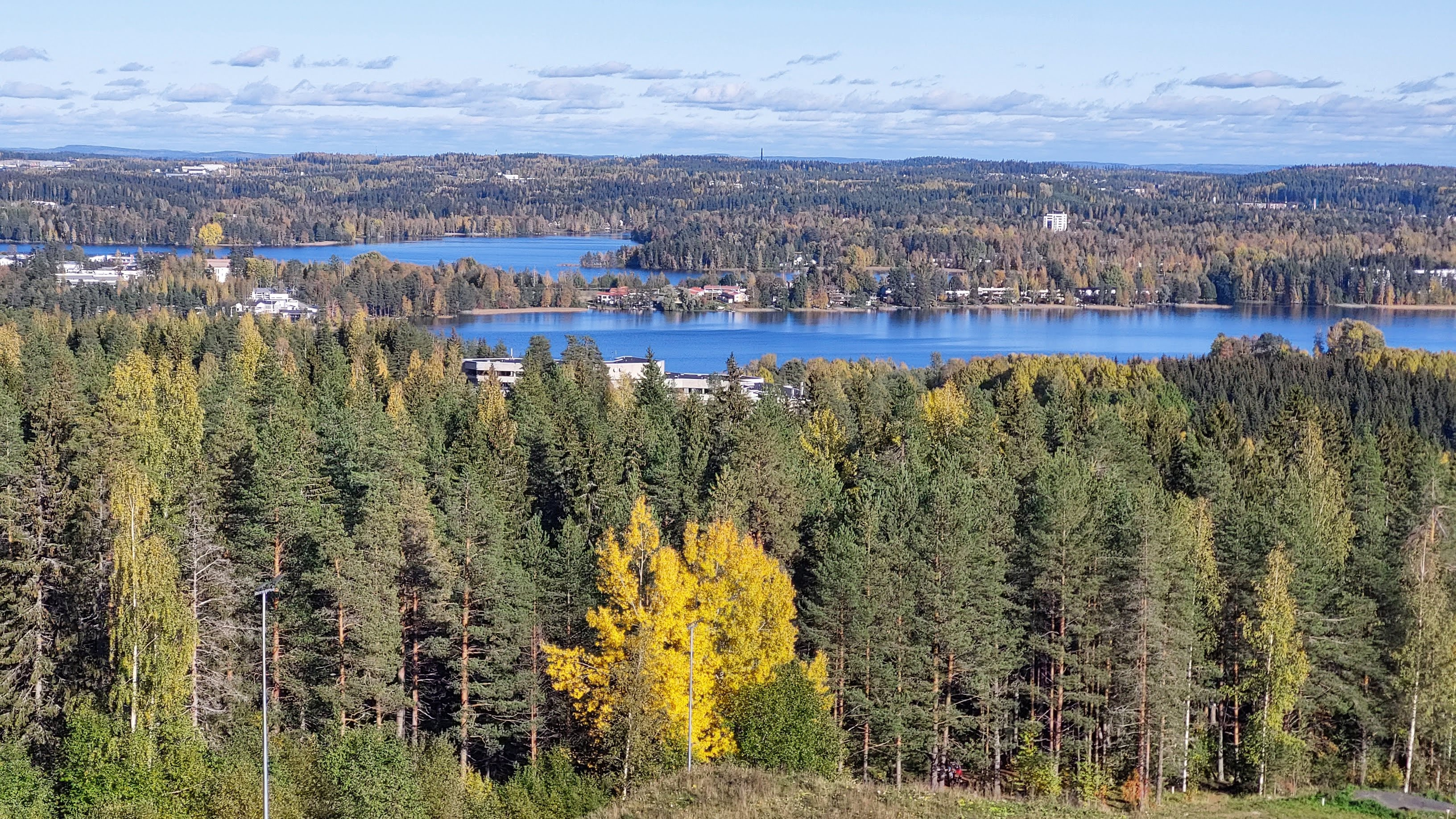 mallikuva